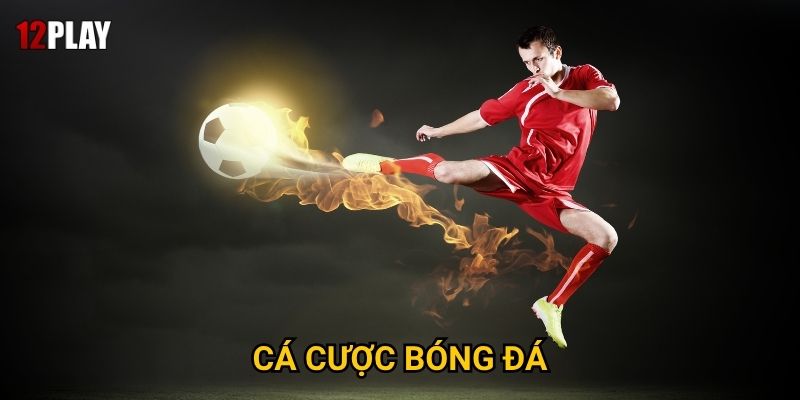 Vì sao cá cược bóng đá là lựa chọn số một tại 12play?