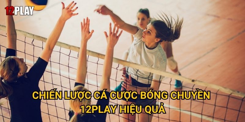 Vì sao cá cược bóng chuyền lại hấp dẫn tại 12play? 3 Chiến lược cá cược bóng chuyền 12play hiệu quả