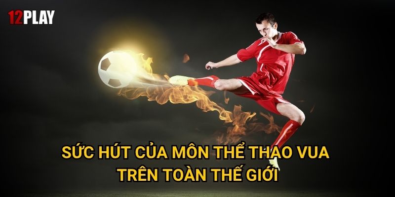 Vì sao cá cược bóng đá là lựa chọn số một tại 12play? 2 Sức hút của môn thể thao vua trên toàn thế giới